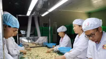 Agro-forestry-aquatic product exports likely to exceed 40 billion USD