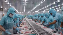 Mekong Delta firms see new orders down 80.7 percent due to COVID-19