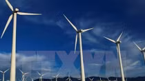 Vietnam promotes renewable energy for sustainable development