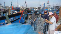 NA launches a comprehensive inspection on marine economic activities