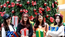 First-ever German-style Christmas fair opens in Hanoi