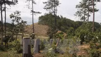 Finland helps Vietnam build forest management database