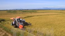 Farmers with excellent achievements to be honoured