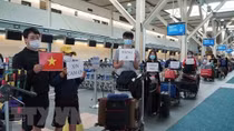 Over 310 Vietnamese citizens in RoK brought home
