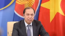 Vietnam enjoys great benefit from ASEAN membership: Deputy FM