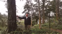 Man spends years to grow forest