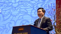 Diplomatic sector to strive harder to reinforce established ties: Deputy PM