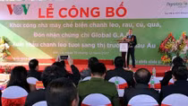 Work begins on VND200 billion fruit and veg processing plant in Son La