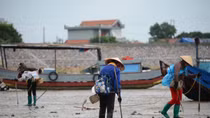 Illegal fishing continues unbated in Quang Ninh