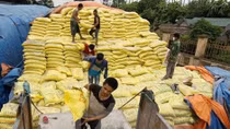 Temporary duties on fertiliser may hurt farmers
