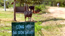 Construction of Saigon Safari Park on horizon