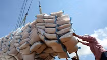 Vietnam should improve rice quality in long-term strategy