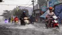 Localities urged to protect crops from torrential rains
