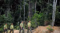 Tuyen Quang aims for more certified forest areas