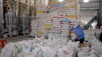 Eight-month rice exports down