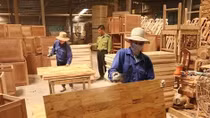 Wood industry tries to survive during COVID-19