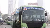 HCM City strives to reach target of 800 green buses