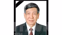 Respect-paying ceremonies for former Party leader held abroad