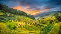 Mu Cang Chai terraced field festival to open on Sept 25