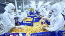 Vietnam’s trade with China hits 8.29 billion USD in January