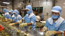 Fruit, vegetables become big foreign currency earner