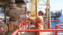 Blue Whale gas field project to be launched in Quang Nam