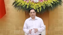 Anti-COVID special working groups established in HCM City 
