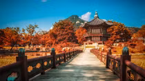 More Vietnamese tourists visit Korea