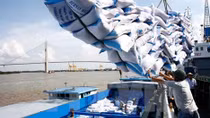 Agro-forestry-fishery exports decline slightly since 2018
