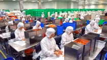 Linking for economic development in Vietnam’s southeastern region