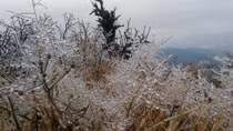 Ice covers mountains in Cao Bang as strong cold casts 