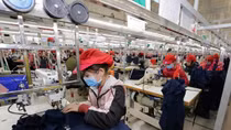 Exports bring home 20 billion USD in January