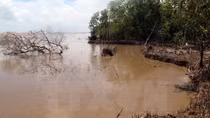 Tra Vinh needs VND76 billion to cope with drought, saline intrusion