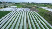 Experts: Room for technological use in agriculture remains huge