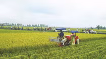 Khanh Hoa develops rural areas
