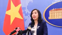 Vietnam working closely with China in nCoV combat: spokeswoman