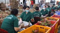 Agro-forestry-fishery exports generate over 33 billion USD