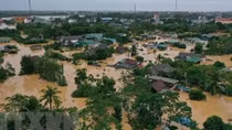 Central provinces receive seeds to restart farming after floods
