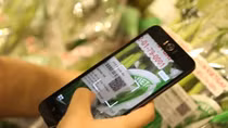HCM City begins programme to trace vegetable origins