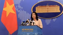 China’s vessels halt survey in Vietnam’s exclusive economic zone