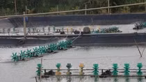 Tien Giang to expand aquatic farming area to over 10,500 ha