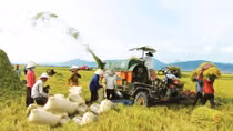 Nghe An strives to have 225 new-style rural communes by 2020