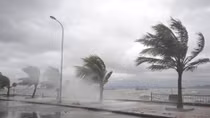 Vietnam to witness 15 tropical storms in 2017