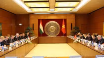 Vietnamese, Hungarian parliaments foster partnership