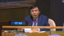 Vietnam supports UNSC reform: Ambassador