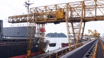 Coal consumption improves in Q1