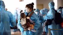 Over 220 Vietnamese citizens brought home from Japan