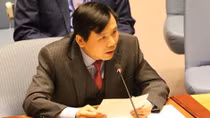 Vietnam share experience in building peacekeeping partnerships