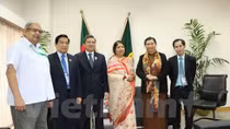 Vietnam develops relations with traditional partners