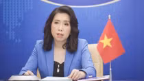Vietnam requests concerned parties to respect its sovereignty